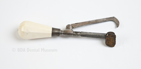 Image of pelican