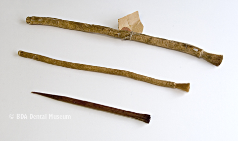 Image of chew stick