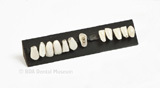 Image of artificial teeth